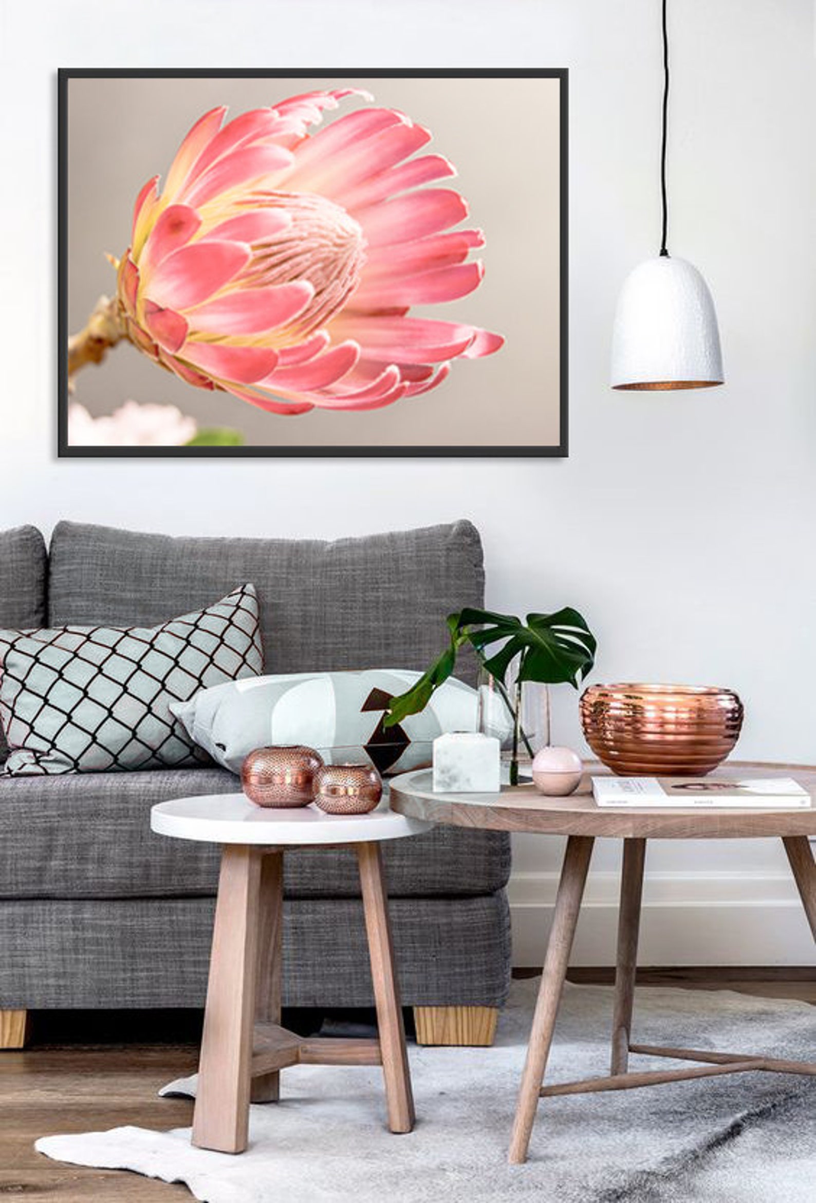 South Africa Protea Print Botanical Large Wall Art Poster Etsy Canada