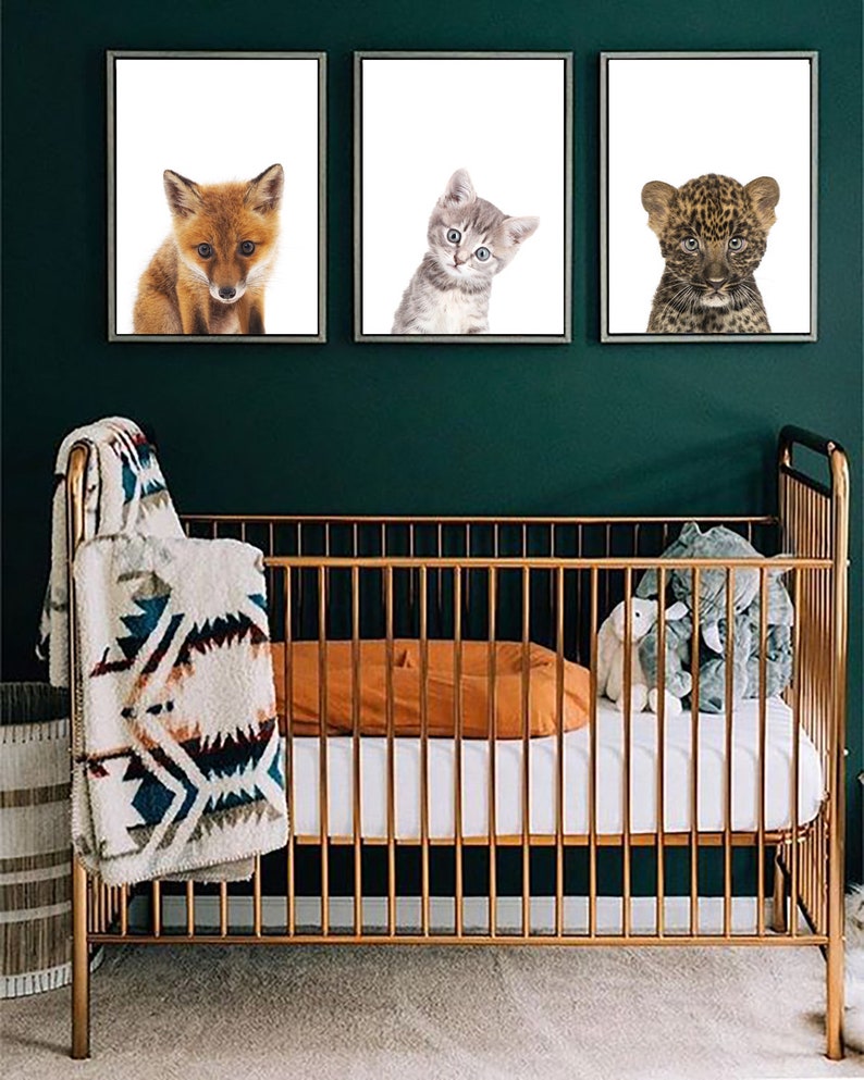 Kitten Print Baby Kitten Nursery Decor Baby Animal Kids Etsy