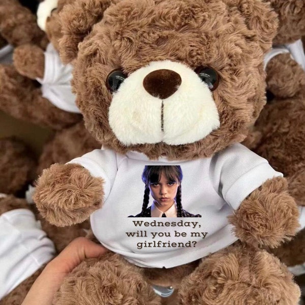 Will you be my girlfriend bear FREE SHIPPING CUSTOM with any picture/text , personalized  teddy bear, gifts for her, girlfriend gifts,