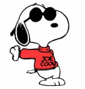 Snoopy strawtopper Joe Cool fits Stanley yet