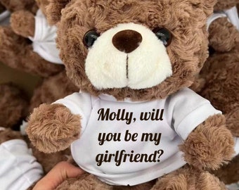 CUSTOM bear with any picture/text , personalized  teddy bear, stuffed animal, great for birthday gift, special occasion, kids, girlfriend