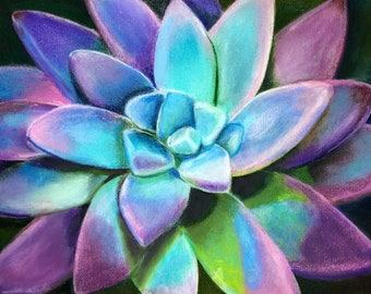 Colorful Succulent Art Print