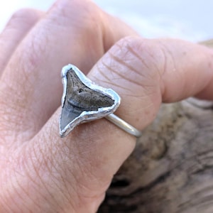 Shark Tooth Ring, Genuine Fossil, Sterling Silver and Molten Tin, Hand Forged