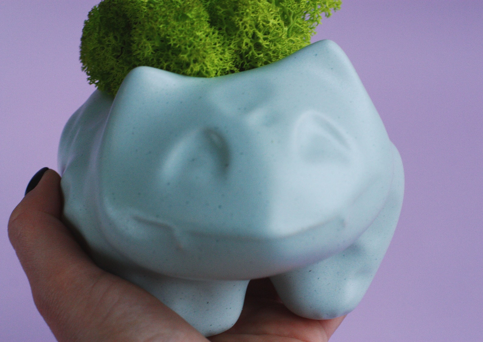 Bulbasaur Planter Unique Plant Pot Bulbasaur Succulent Etsy