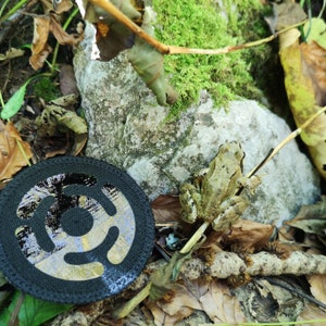 May include: A black and gold vinyl record patch with a stylised design, lying on a bed of brown leaves and moss. A small brown frog sits on a twig in the background.