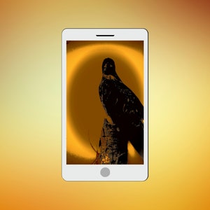 Soft & Earthy Juvenile Bald Eagle Digital Art Mobile Phone Wallpaper / Background / Instant Download Photo Art