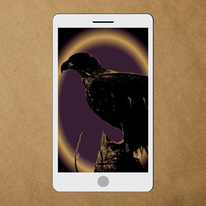 Juvenile Bald Eagle Digital Art Phone Wallpaper Background /Instant Download Photo