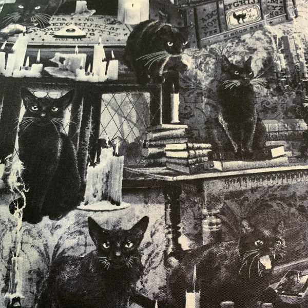 Cloth Dinner Napkins, Haunted Kitty, reusable napkin, table napkin, dinner napkin, cloth napkin, fabric napkin, Table dinner napkin, napkin