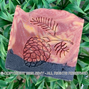 Könnte beinhalten: Ein quadratisches Stück handgemachte Seife mit einem geschnitzten Design aus Kiefernzapfen und Zweig. Die Seife hat ein geschichtetes Aussehen mit Rot-, Braun- und Gelbtönen. Der untere Rand ist dunkelgrau.
