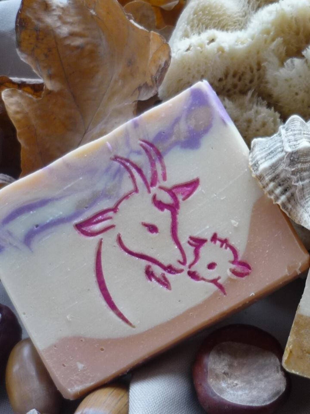 Goat Soap Stamp Footprint 1.69 X 2.2 43mm Width X 56mm Height Etsy