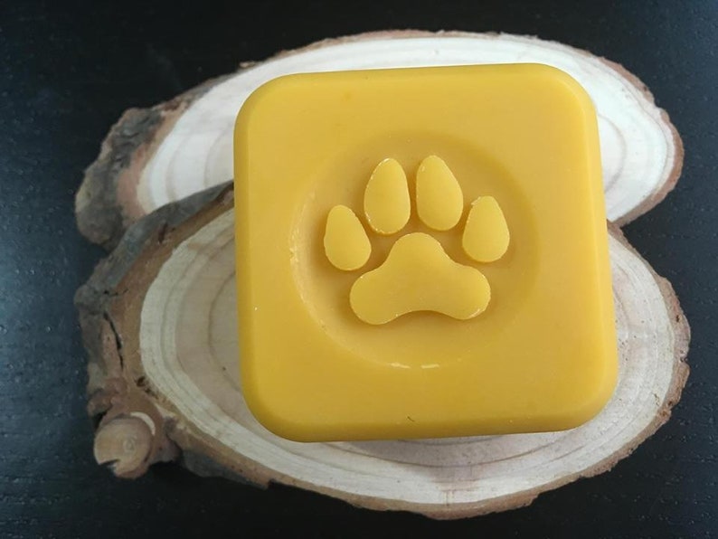 3D Dog Paw Soap Stamp Footprint 1.57 40mm Diameter Etsy Canada