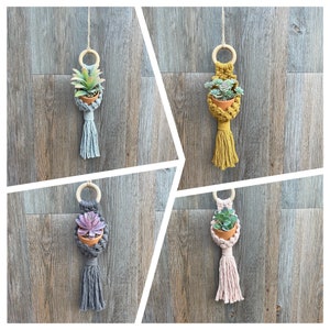 May include: Four macrame plant hangers with wooden rings and small potted succulents. The hangers are in different colours: grey, yellow, grey, and pink.