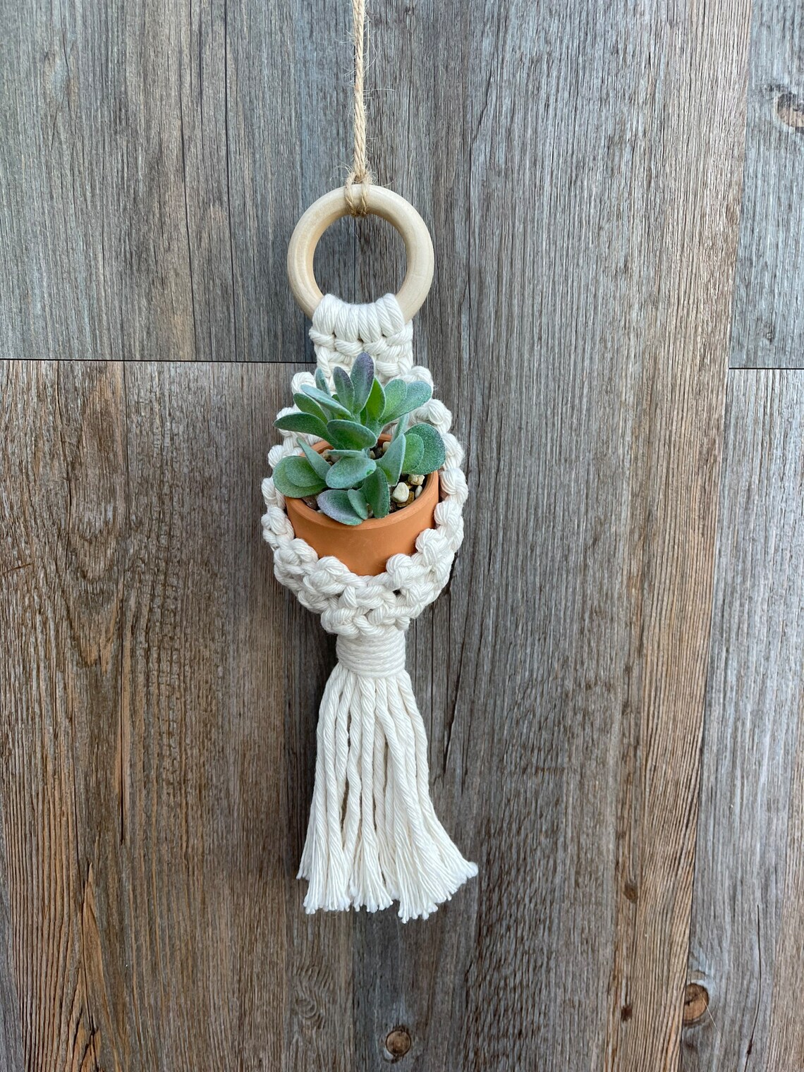 Macramé Single Pot Hanger in Natural - Etsy UK