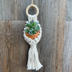 May include: A macrame plant hanger with a wooden ring and a small terracotta pot containing a succulent plant. The hanger is made of natural white cotton cord and has a tassel at the bottom.