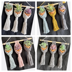 May include: Three macrame plant hangers with tassels, each holding a small potted succulent. The hangers are made with natural coloured cord and the succulents are in various shades of green and pink.