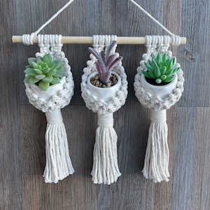 May include: Three macrame plant hangers with white tassels, each holding a small white ceramic pot with a succulent plant. The hangers are suspended from a wooden dowel rod.