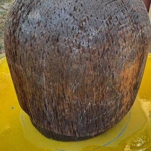 May include: A large, roughly spherical wooden object with a dark brown, weathered appearance. The wood grain is visible, and the surface shows signs of wear. A stainless steel ruler is placed near the base for scale.
