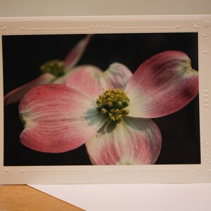Cartão de felicitações em branco para montagem de foto Dogwood