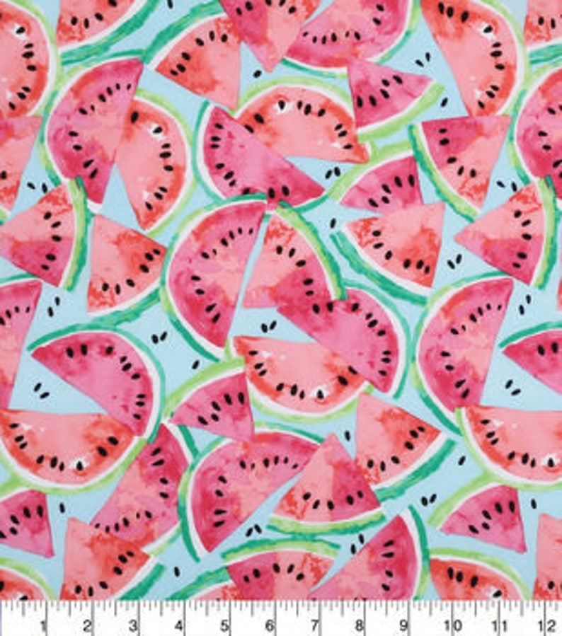 Watermelon Slices on Light Blue fabric image 1