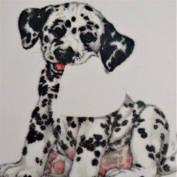 Darling Dalmatian Iron-On Transfer for DIY T-Shirt or Sweatshirt - Adorable Dalmatian Puppy with Heart for Personalizing