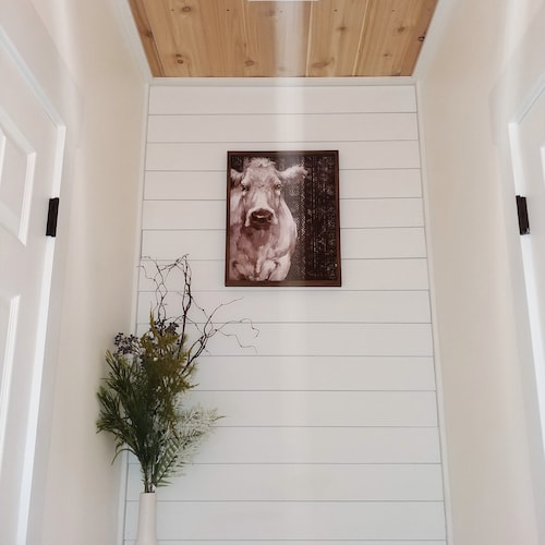 Shiplap Wall Planks Farmhouse White Shiplap Wall Planks Farmhouse White, White Shiplap Basement Walls