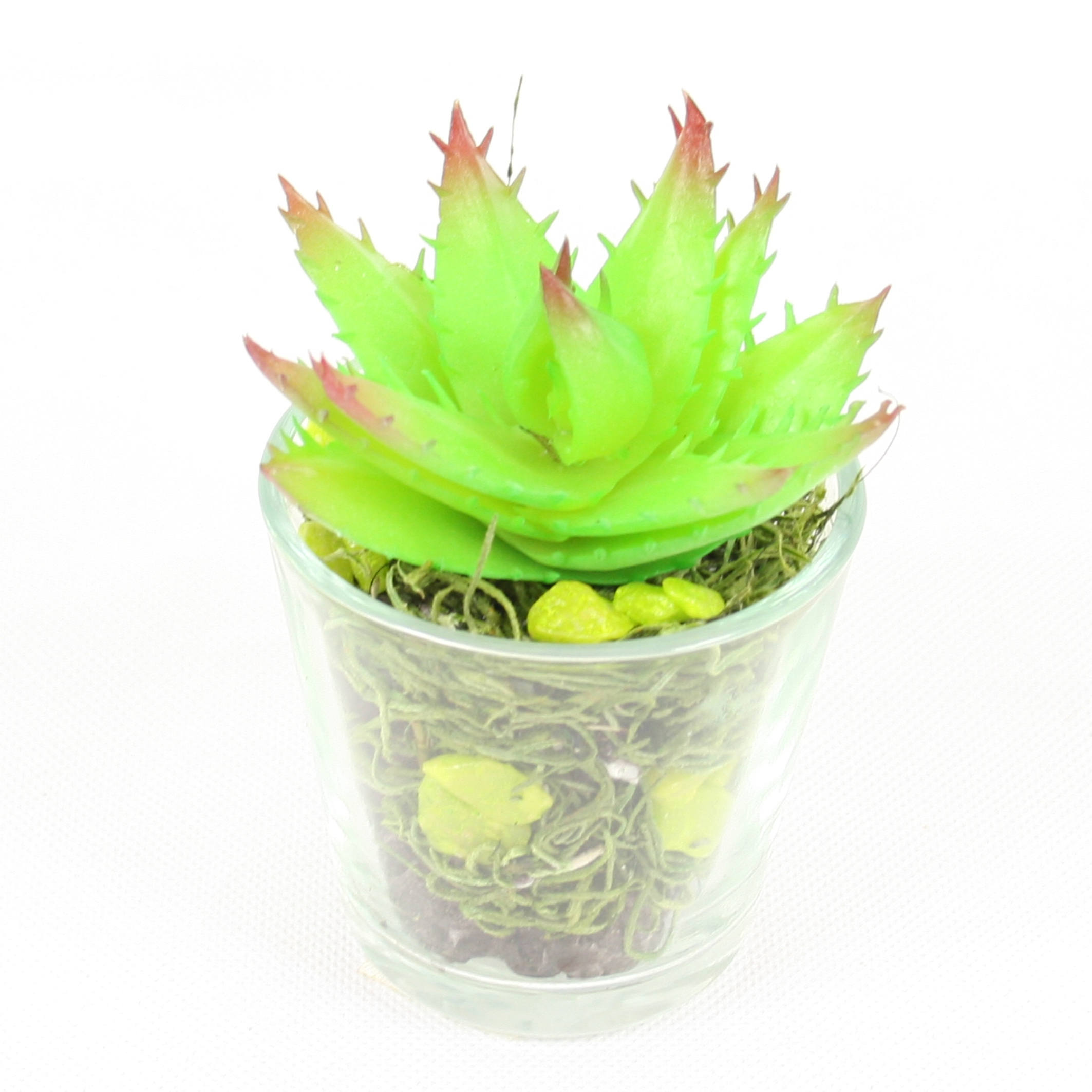 Floral Arrangements Home & Living Home Décor Succulent & Flowers for
