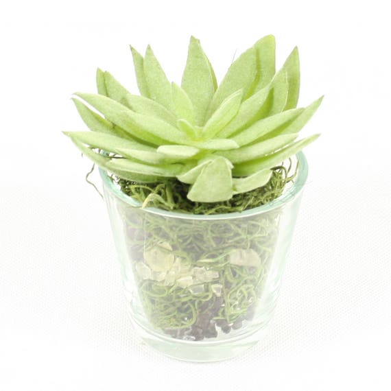 Small Artificial Plant Mix In Glass Vase Succulent Flowers Etsy
