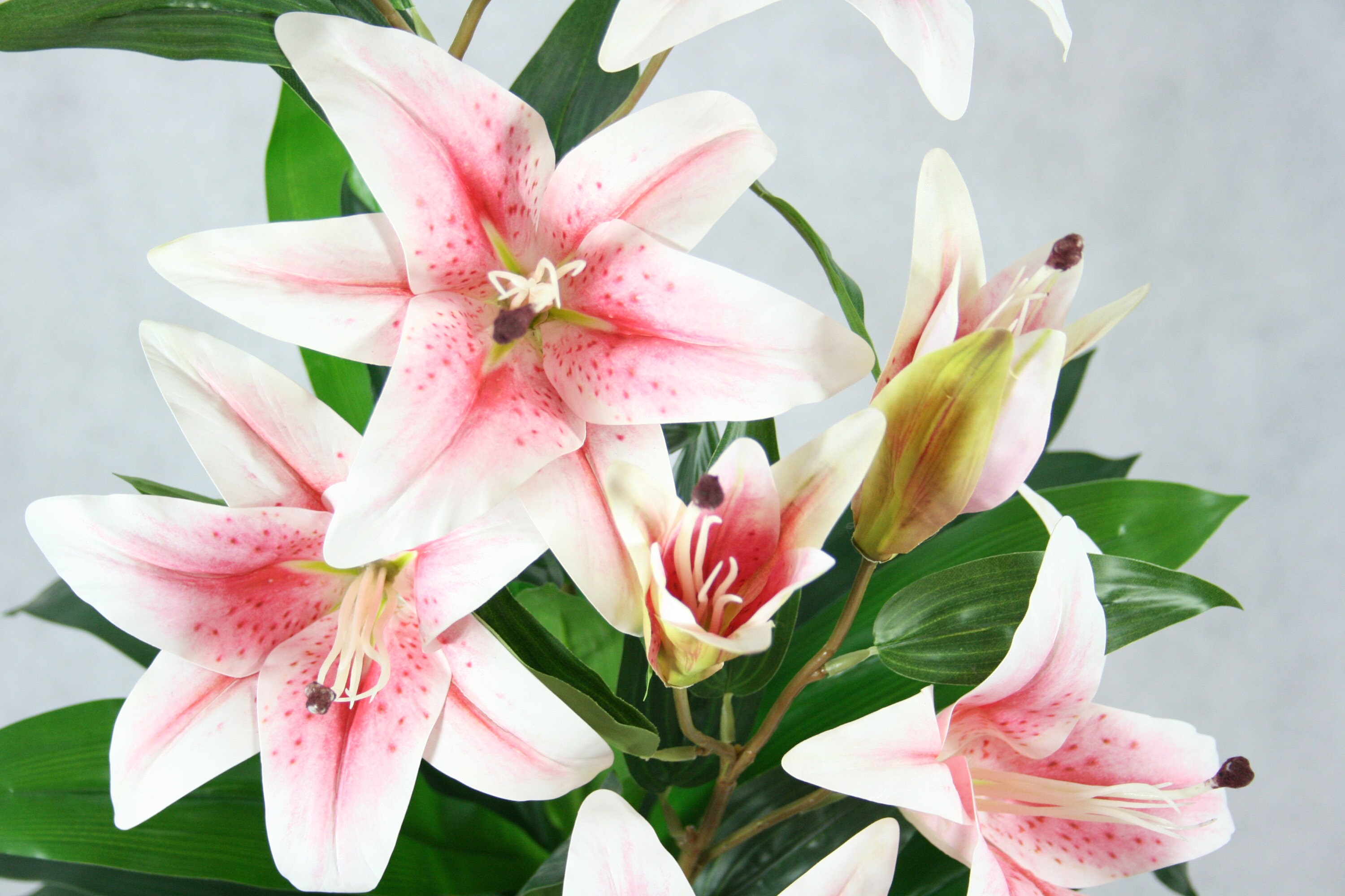 Artificial Lily Pink Plant Potted Flowers Etsy