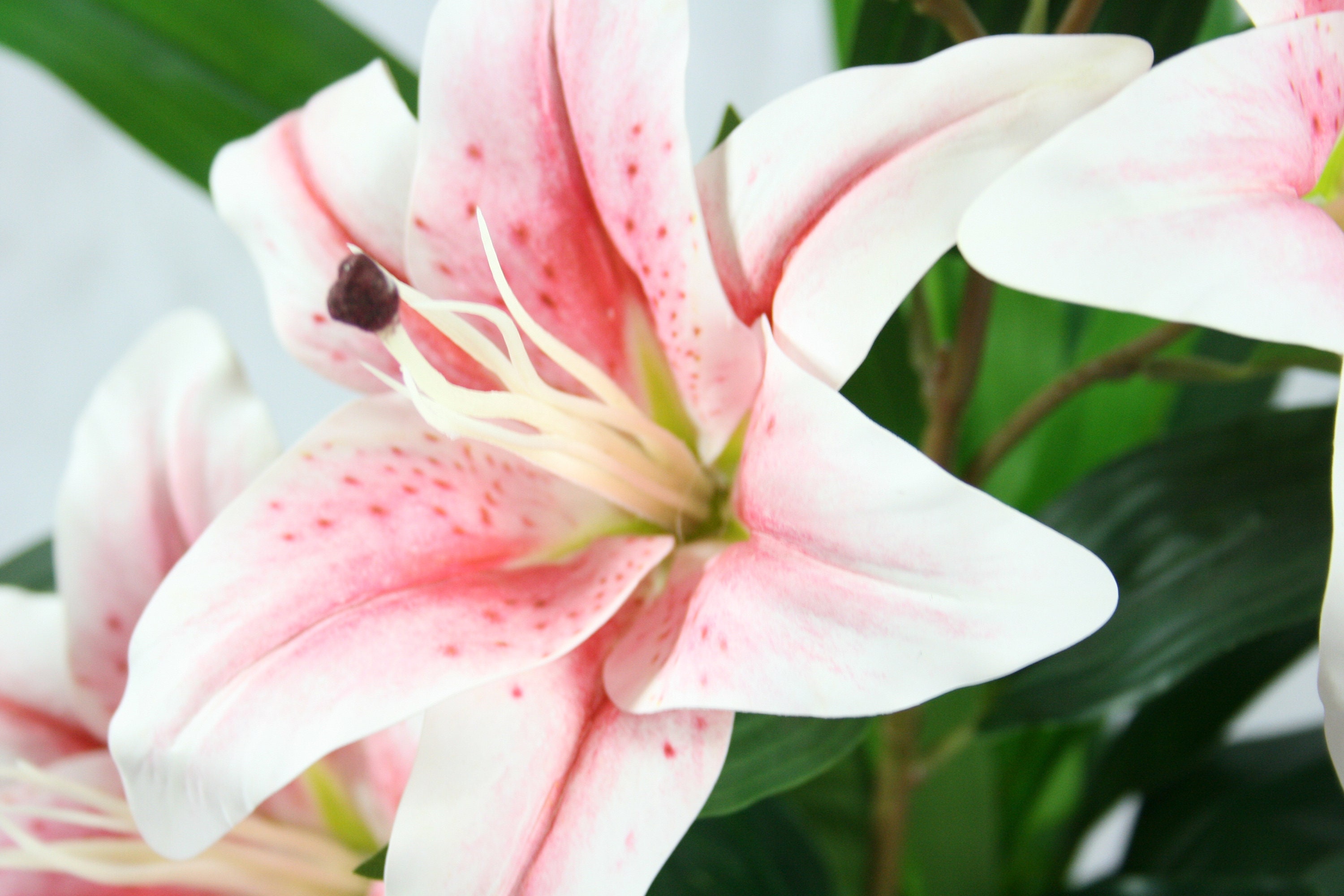 Artificial Lily Pink Plant Potted Flowers Etsy