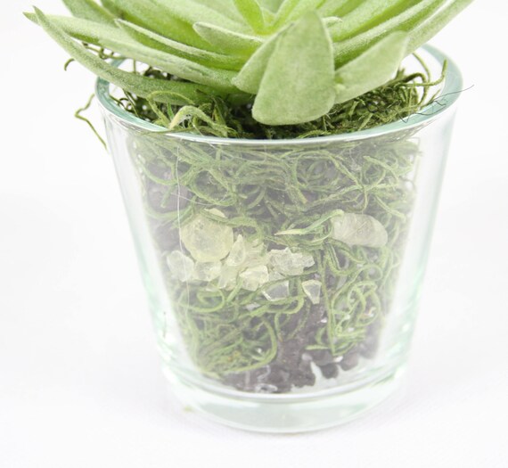 Floral Arrangements Home & Living Home Décor Succulent & Flowers for