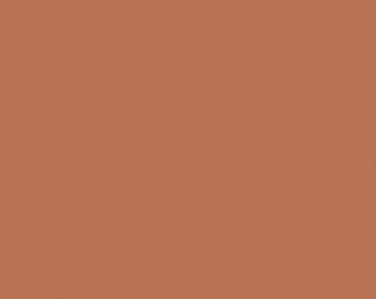 Può includere: Sfondo tinta unita color terracotta. L'immagine è un primo piano di una superficie liscia e opaca. Il colore è una tonalità calda e terrosa, simile all'argilla o al mattone. La trama appare uniforme e coerente in tutto il fotogramma.