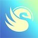 Swan Drawn