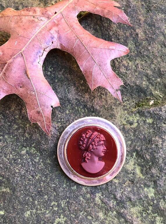 Vtg 1930s CARNELIAN Glass CAMEO Brooch & SERPENT … - image 7