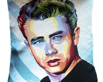 Housse de coussin tapisserie jacquard motif James Dean et suédine vert anis