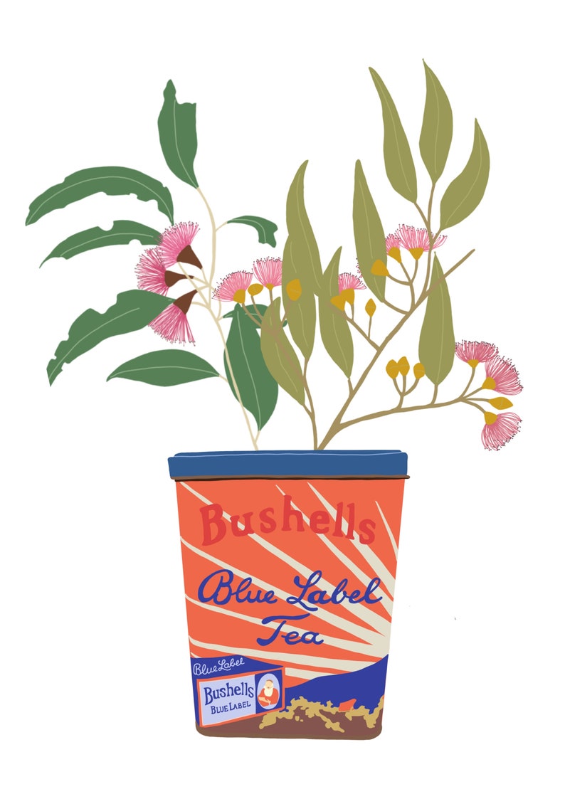 Australian Native Flowers in Vintage Tins Wall Art Print Etsy Australia