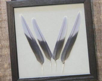 Omnicolor Etsy
