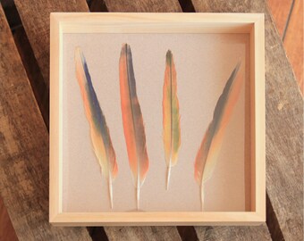 Omnicolor Etsy