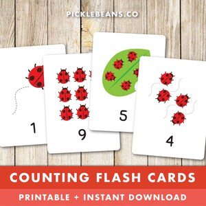 Compter les cartes Flash - préscolaire, enfant en bas âge, calcul, nombres, garderie, enfants, enfants, coccinelles, coccinelles, imprimable - téléchargement immédiat !