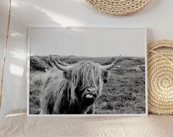 Farm Animal Wall Art, Highland Cow Photo, Animal Portrait, Cow Printable Poster, Cattle Photography, Farm Nursery Poster, Instant Download