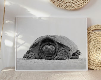 Sea Turtle Wall Art, Printable Turtle, Sea Turtle Poster, Black and White Art, Turtle Decor, Digital prints, Sea Life Art, Digital Download