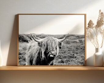 Highland Cow Print, Downloadable Prints, Animal Portrait, Printable Wall Art, Bull head Cattle Photography,Farmhouse Decor, Digital Download