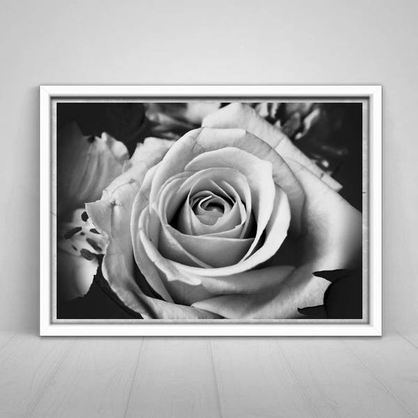 Printable Black and White Rose Art - Etsy