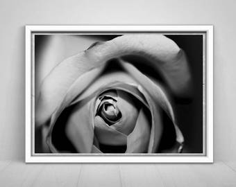 Black and White, Flower Photography, Roses Wall Art, Floral Poster, Printable Roses Photography, Fine Art, Roses Print, Instant Download