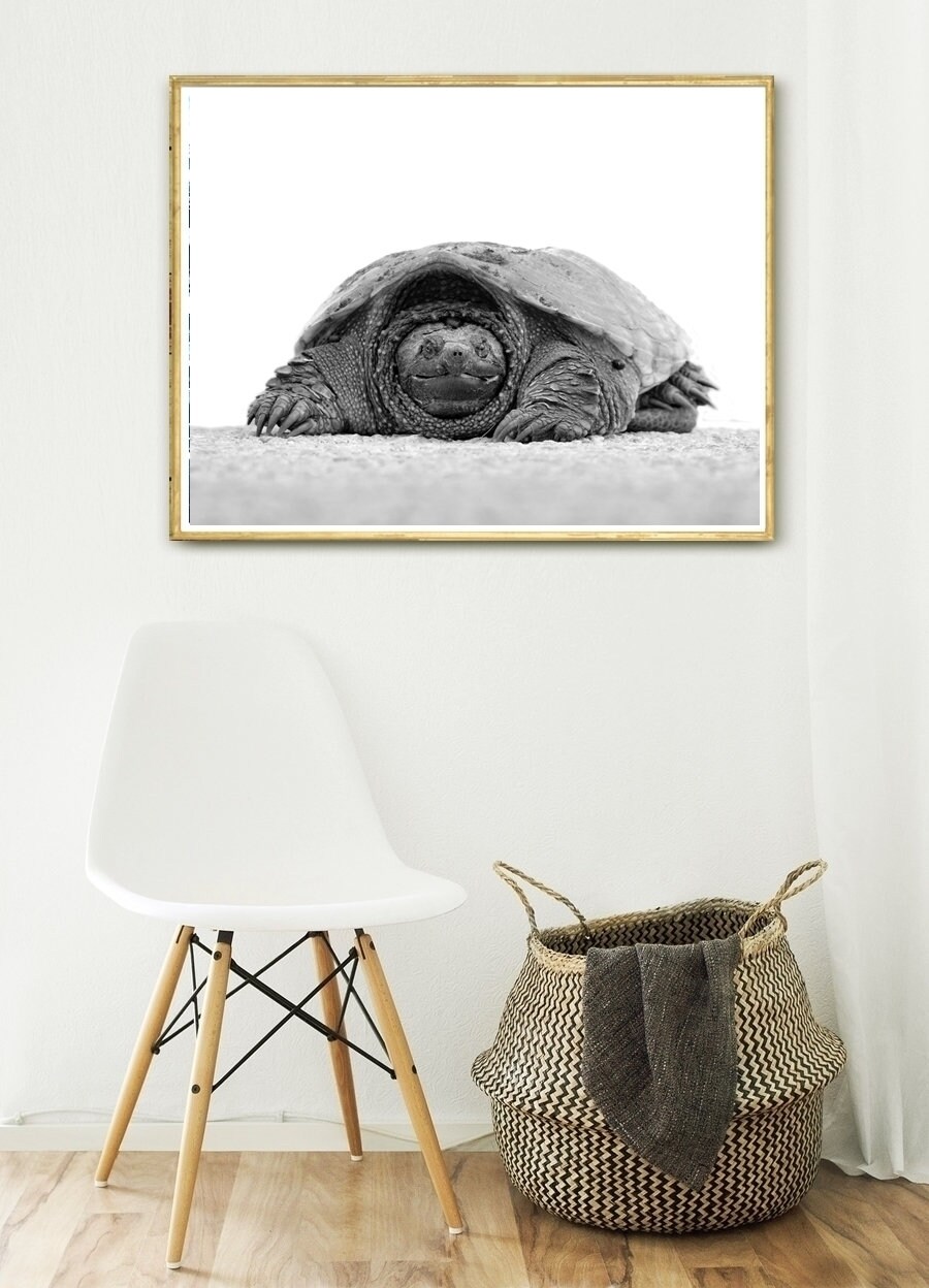 Sea Turtle Wall Art Printable Turtle Sea Turtle Poster - Etsy