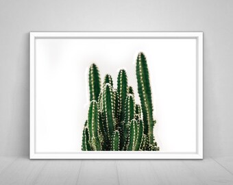 Cactus Print, Southwestern Decor, Succulent Print, Aztec Cactus, Printable Wall Art, Boho Photography, Desert Cactus Photo, Digital Download