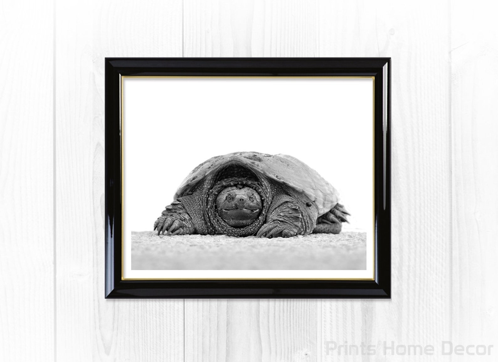 Sea Turtle Wall Art Printable Turtle Sea Turtle Poster - Etsy