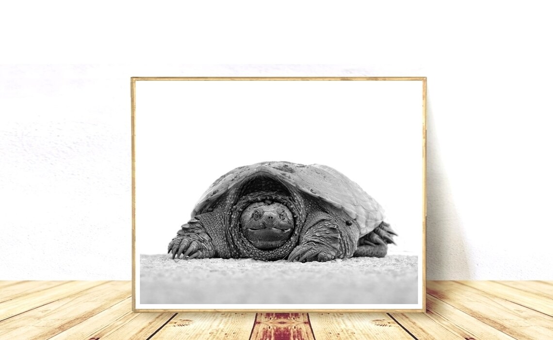 Sea Turtle Wall Art Printable Turtle Sea Turtle Poster - Etsy