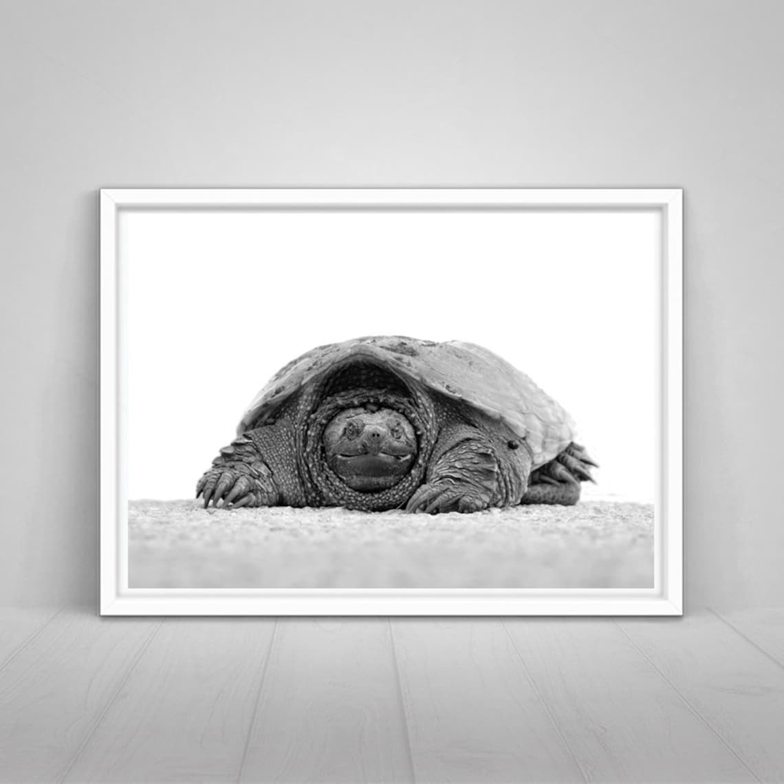 Sea Turtle Wall Art Printable Turtle Sea Turtle Poster - Etsy