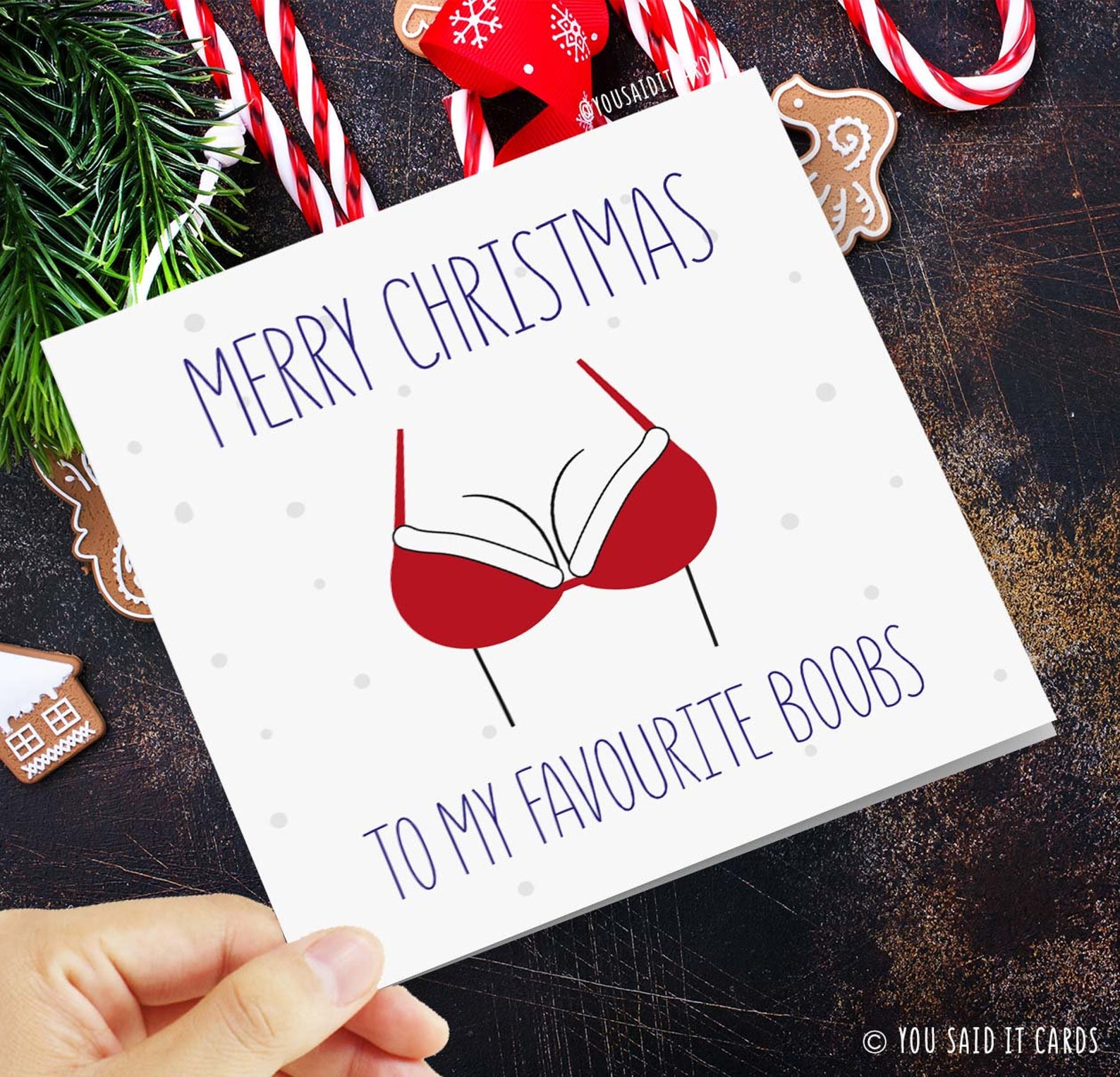 Merry Christmas to My Favourite Boobs Rude Funny Offensive Etsy