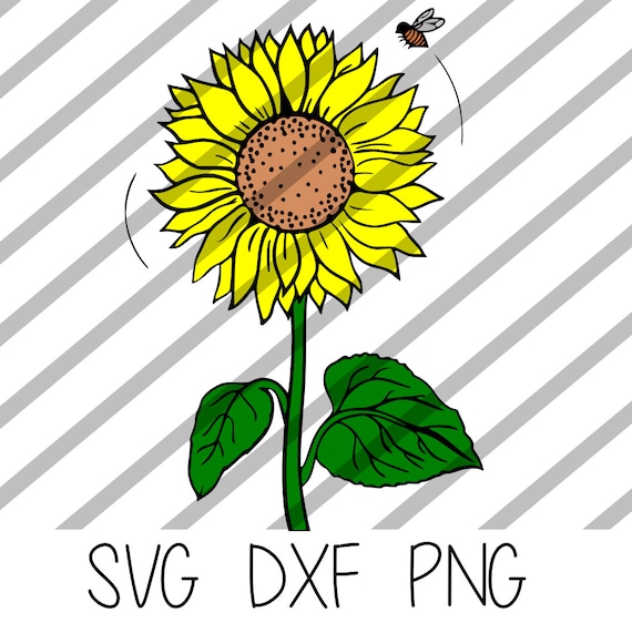 Free Free 262 Sunflower Car Decal Svg SVG PNG EPS DXF File